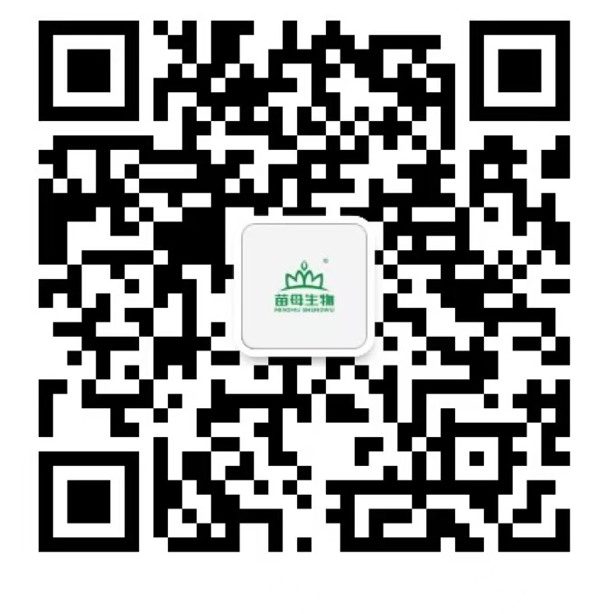 苗母微信公众号二维码
